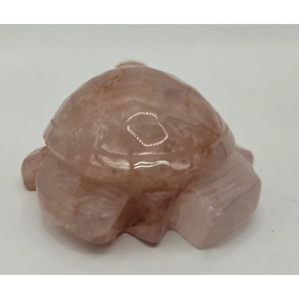 Natural Red Fire Quartz Hematoid Carved Turtle 4